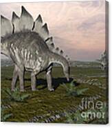 Stegosaurus Dinosaurs Grazing On Plants Canvas Print