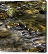 Stepping Stones Canvas Print