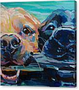 Stick It Canvas Print Stick It Canvas Print