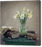 Still Life With Daffodils, Old Books And Snails Canvas Print