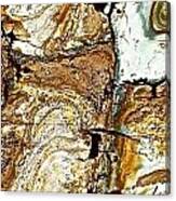 Stone Mountain Canvas Print