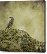 Stonehenge Birds 3 Canvas Print