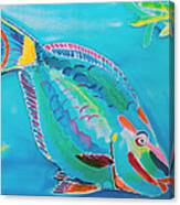 Stoplight Parrot Fish Canvas Print