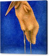 Stork Naked... Canvas Print