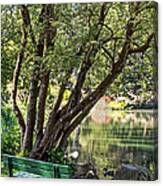 Stow Lake Bench Canvas Print