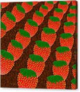 Strawberry Fields Forever Canvas Print