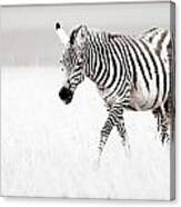 Stripes On The Move Canvas Print