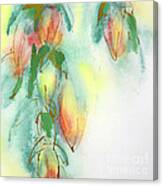 Succulent I Canvas Print
