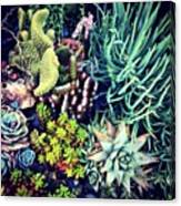 Succulent Seascape Canvas Print