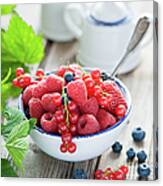 Summer Berries Canvas Print