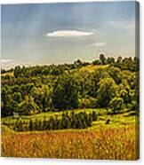 Summer Countryside Canvas Print