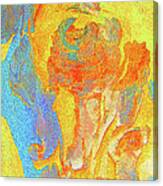 Summer Eucalypt Abstract 3 Canvas Print