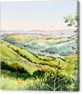 Summer Landscape Inspiration Point Orinda California Canvas Print
