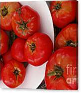 Summer Tomatoes Canvas Print