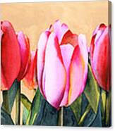 Summer Tulips Canvas Print