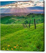 Sun Rays And Green Hillside Canvas Print