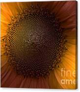 Sunblast Canvas Print