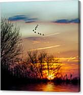 Sundown And Birds Canvas Print
