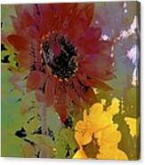 Sunflower 33 Canvas Print