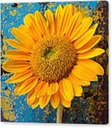 Sunflower Against Old Wall Photograph by Garry Gay - Fine Art America