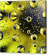 Sunflower Drop Abstract Canvas Print