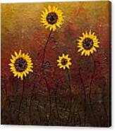 Sunflowers 3 Canvas Print