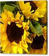 Sunflowers Canvas Print