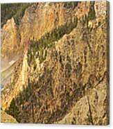Sunlight On The Lower Falls Of The Grand Canyon Of Yellowstone Canvas Print