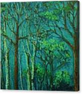 Sunlit Woodland Path Canvas Print