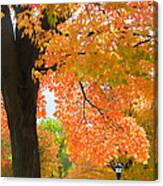 Sunny Fall Day By David Lawrence Canvas Print