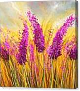 Sunny Lavender Field - Impressionist Canvas Print