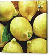 Sunny Lemons Canvas Print