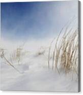 Sunny Snowstorm Canvas Print