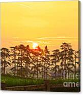 Sunrise At Danebury Hillfort Canvas Print