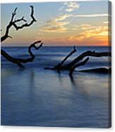 Sunrise At Driftwood Beach 7.3 Canvas Print
