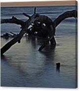 Sunrise At Driftwood Beach 7.7 Canvas Print