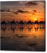Sunset Camel Safari Canvas Print