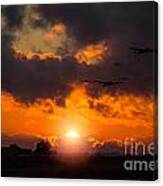 Sunset Fly By Canvas Print