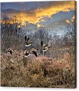 Sunset Geese Canvas Print