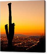 Sunset On Phoenix With Saguaro Cactus Canvas Print