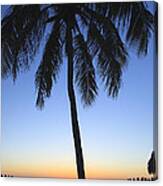 Sunset Palm Canvas Print