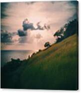 #sunset #sea #sky #green #goa #meadow Canvas Print