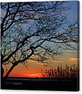 Sunset Tree In Ocean City Md Canvas Print