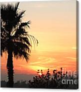 Sunset With Palm Tree Silhouette Canvas Print