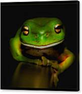Super Frog 01 Canvas Print