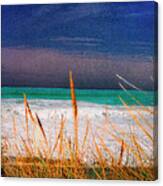 Surf And Grass Canvas Print