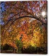 Surrounded By Autumn's Color Canvas Print