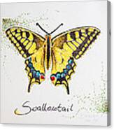 Swallowtail - Butterfly Canvas Print