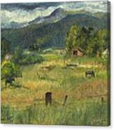 Swan Valley Residents Canvas Print