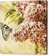 Sweet Lilacs Canvas Print